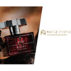 Offerria Coupon - Niche Essence