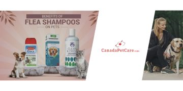 Offerria Coupon - canadapetcare