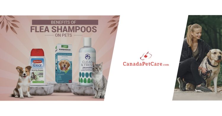 Offerria Coupon - canadapetcare
